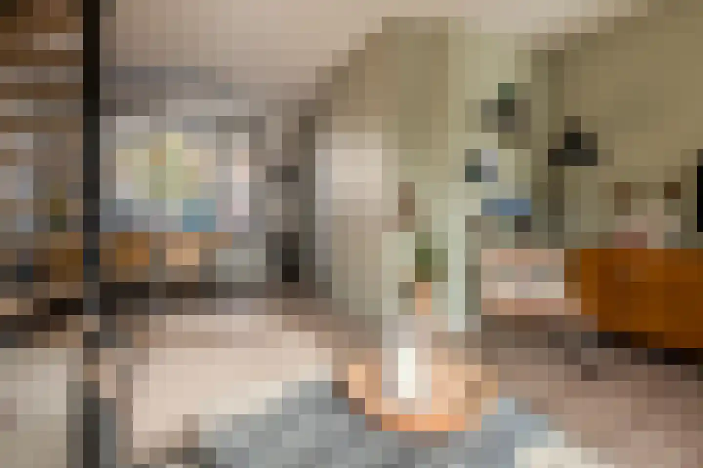 Tulpstraat 12 Nijmegen thumbnail 9