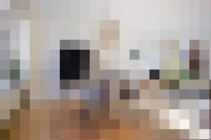 Tulpstraat 12 Sneek thumbnail 14
