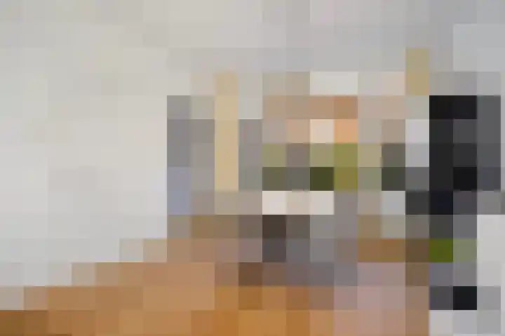 Tulpstraat 12 Sneek thumbnail 15