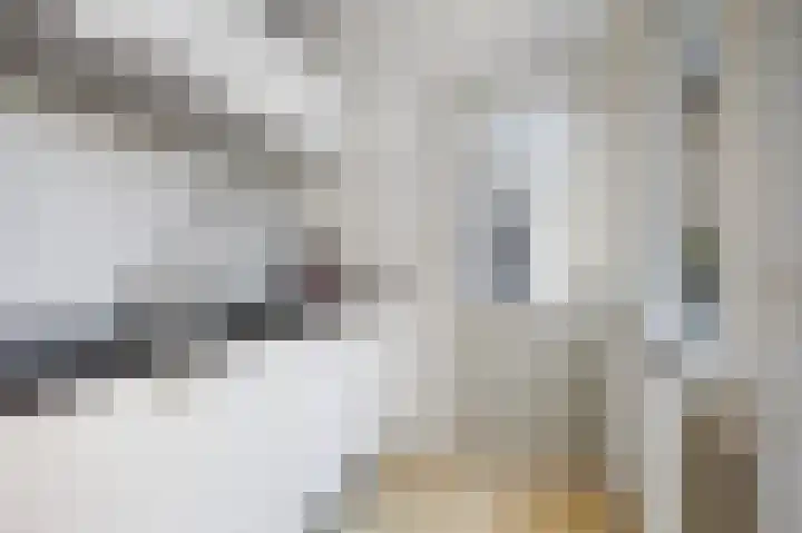 Tulpstraat 12 Sneek thumbnail 21