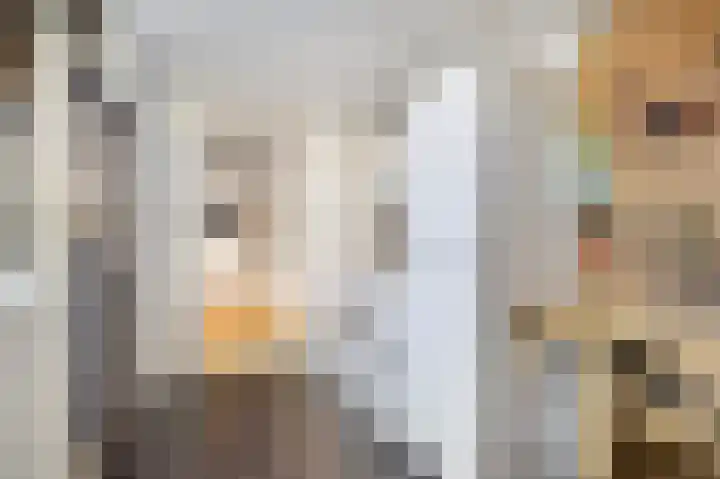 Tulpstraat 12 Sneek thumbnail 22