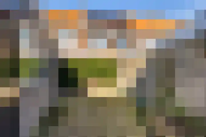 Tulpstraat 12 Sneek thumbnail 26