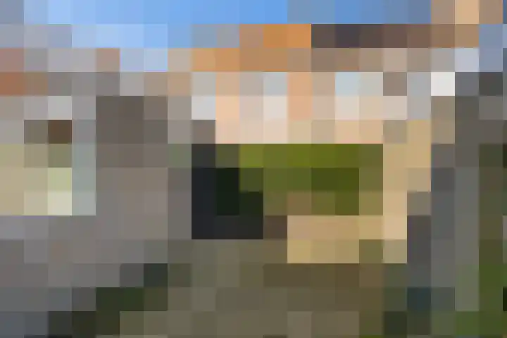 Tulpstraat 12 Sneek thumbnail 28
