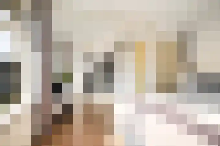 Tulpstraat 12 Sneek thumbnail 37