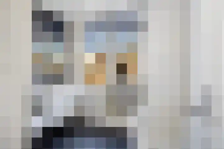 Tulpstraat 12 Sneek thumbnail 39