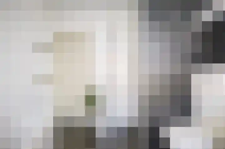 Tulpstraat 12 Sneek thumbnail 41