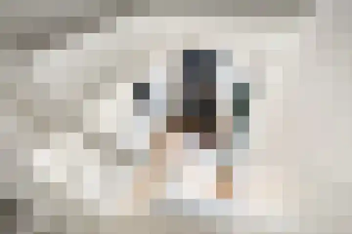 Tulpstraat 12 Sneek thumbnail 7