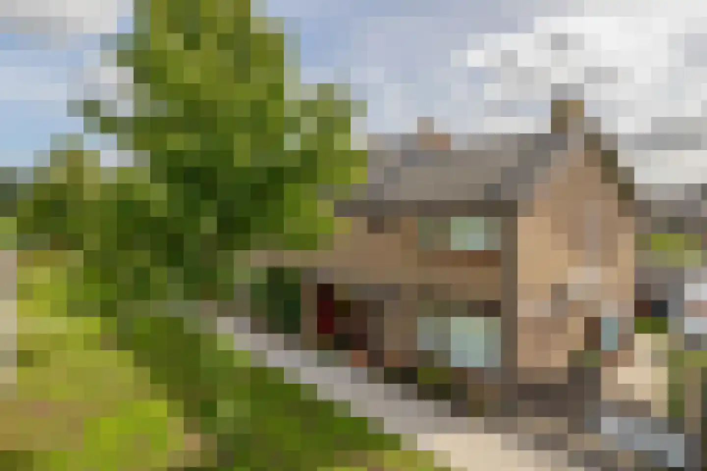Tulpstraat 12 Spijkenisse thumbnail 10