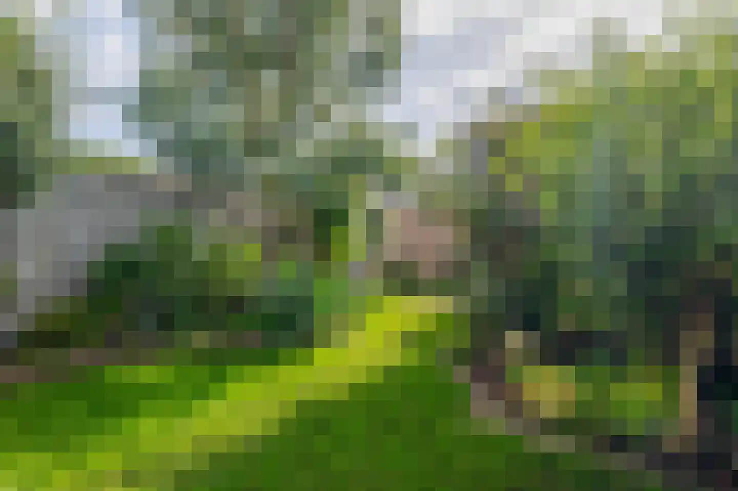 Tulpstraat 12 Spijkenisse thumbnail 32