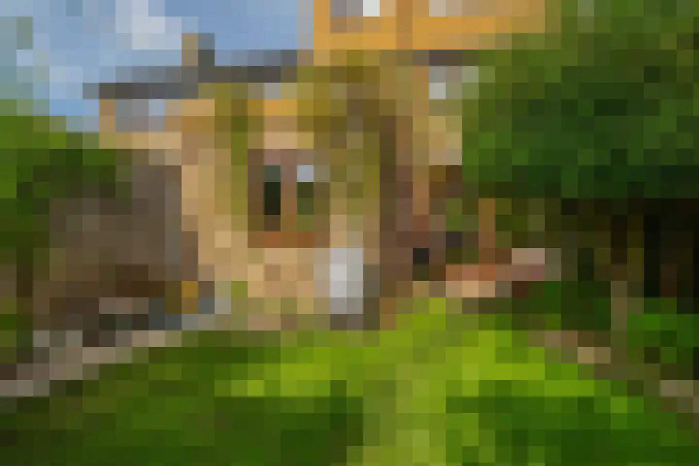 Tulpstraat 12 Spijkenisse thumbnail 33