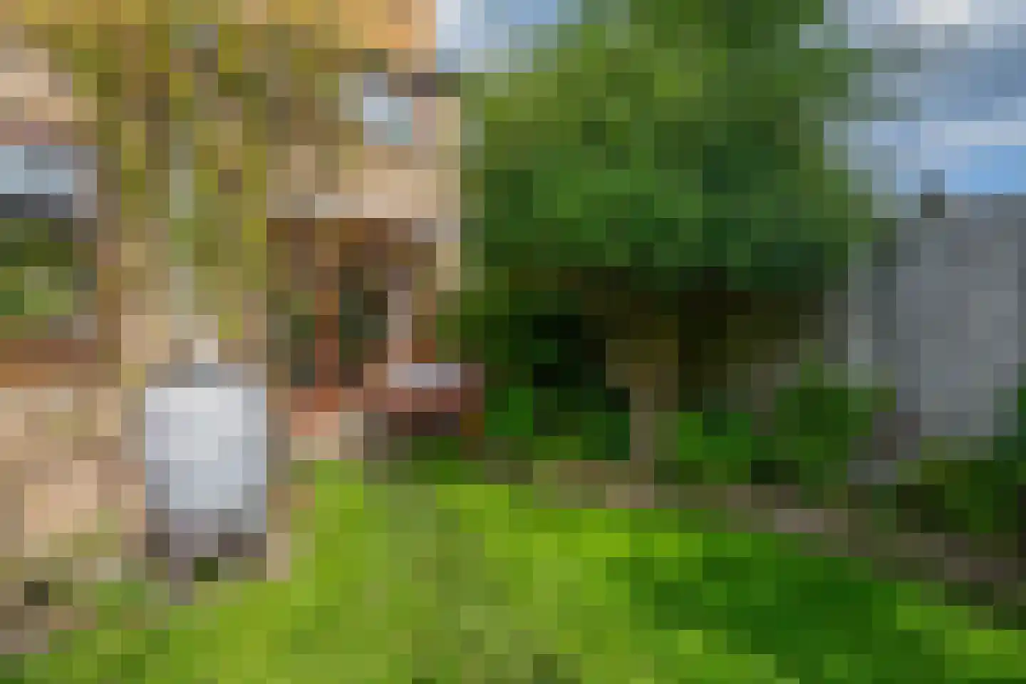 Tulpstraat 12 Spijkenisse thumbnail 35