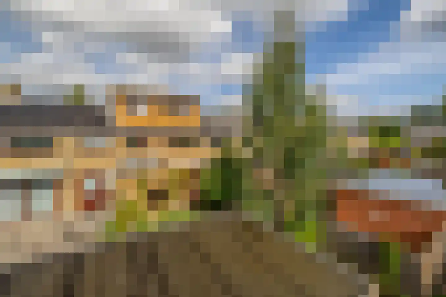 Tulpstraat 12 Spijkenisse thumbnail 36