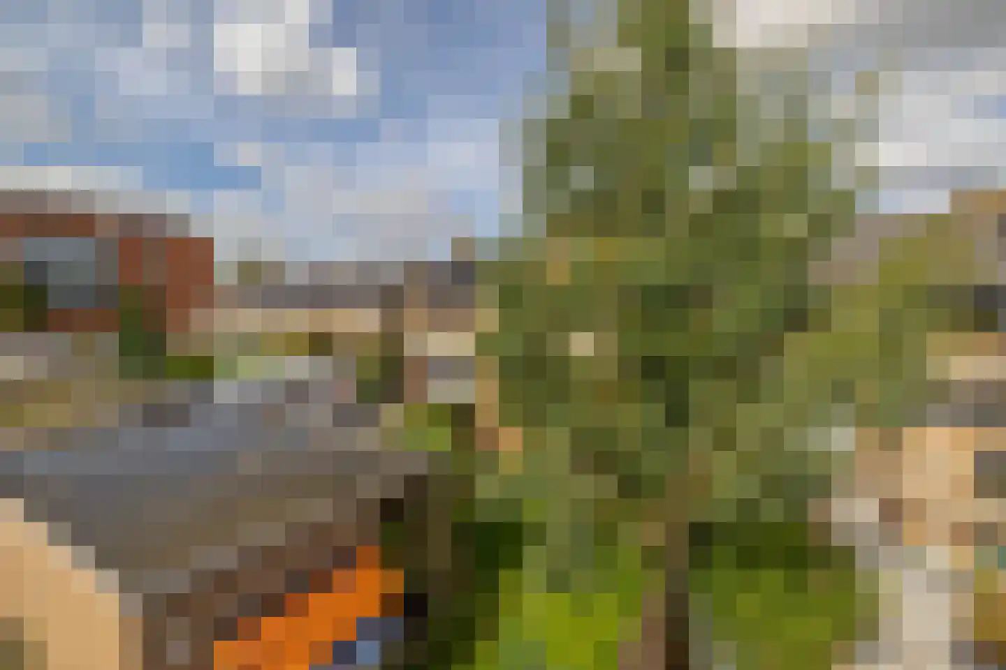 Tulpstraat 12 Spijkenisse thumbnail 37