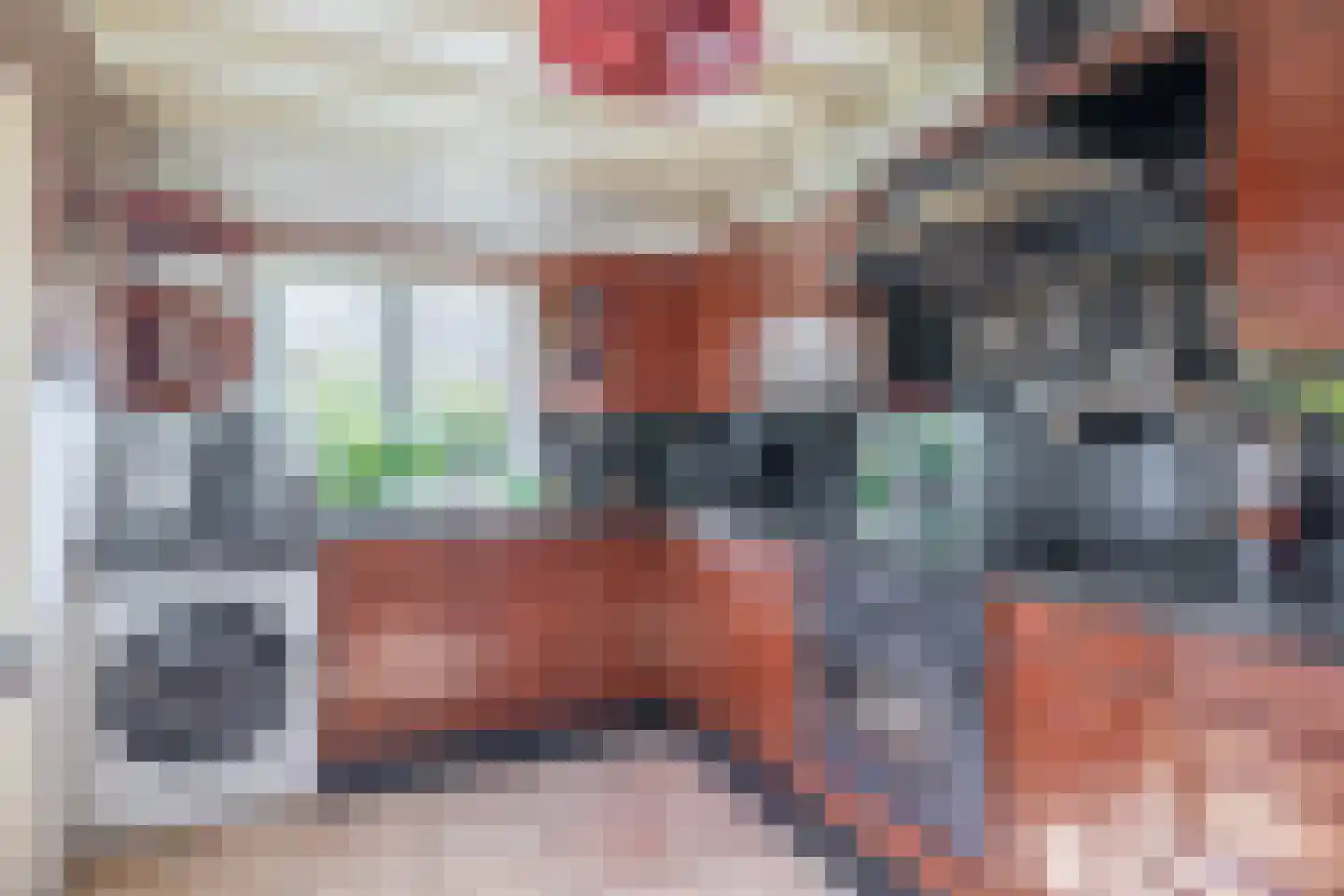 Tulpstraat 12 Spijkenisse thumbnail 4