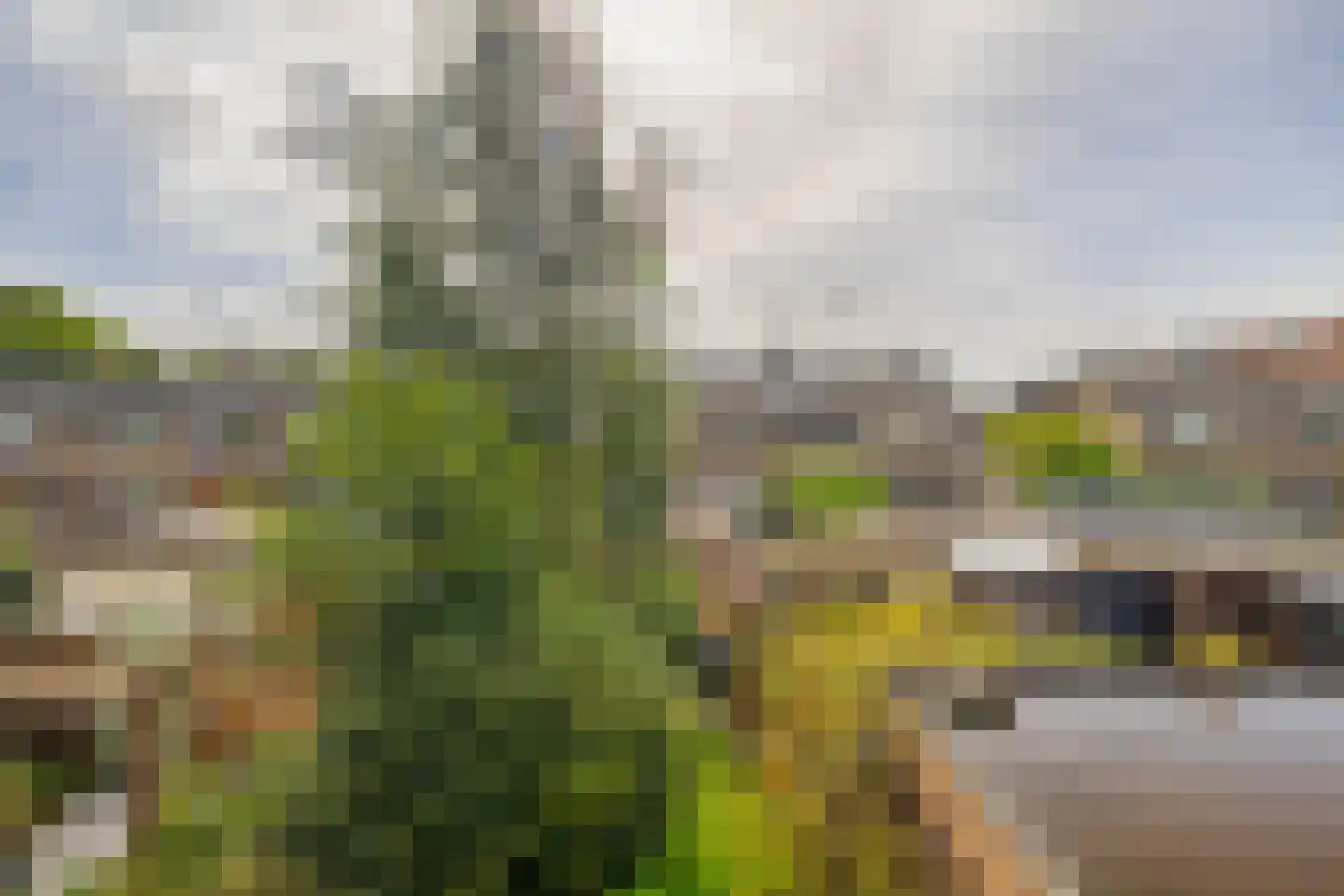 Tulpstraat 12 Spijkenisse thumbnail 40
