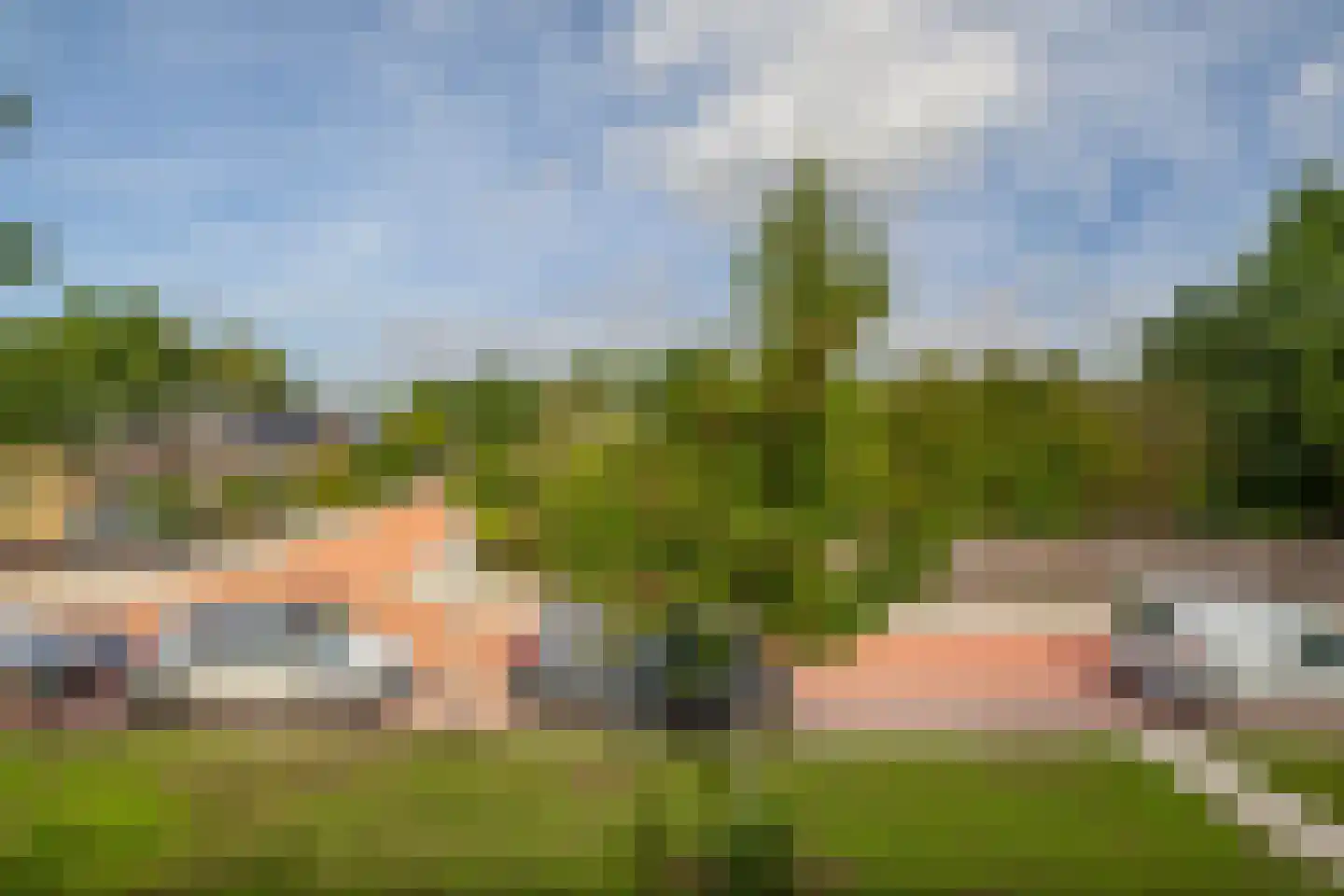 Tulpstraat 12 Spijkenisse thumbnail 43