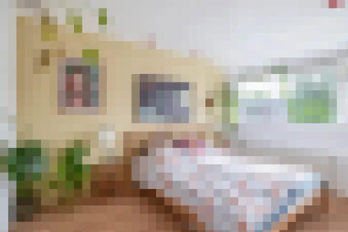 Tulpstraat 12 Spijkenisse thumbnail 45