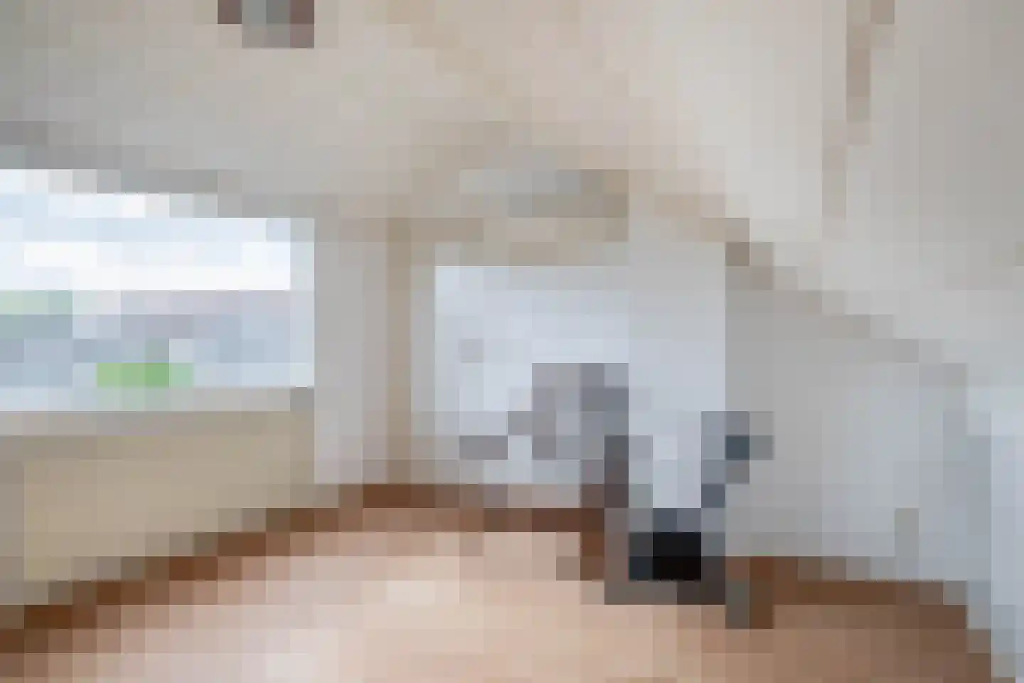 Tulpstraat 12 Spijkenisse thumbnail 51