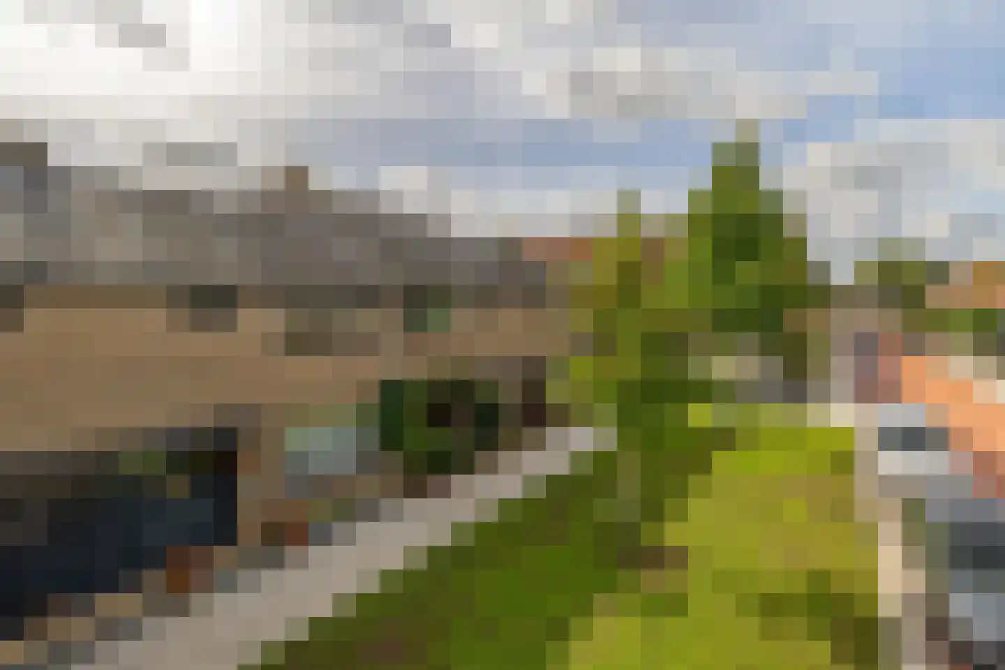 Tulpstraat 12 Spijkenisse thumbnail 6