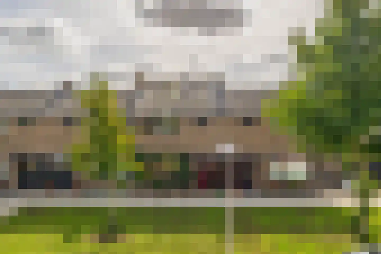Tulpstraat 12 Spijkenisse thumbnail 8