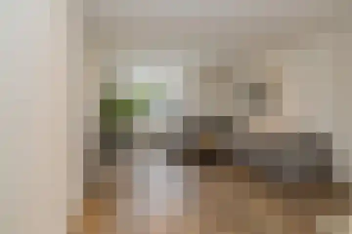 Tulpstraat 12 Uitgeest thumbnail 10
