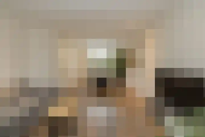Tulpstraat 12 Uitgeest thumbnail 11
