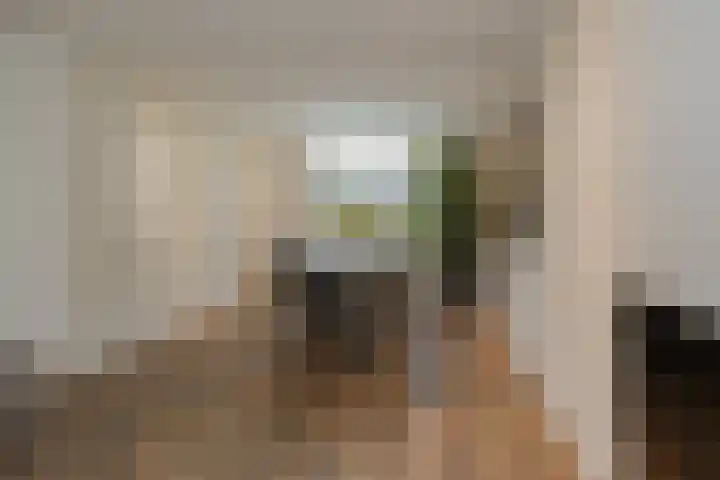 Tulpstraat 12 Uitgeest thumbnail 12