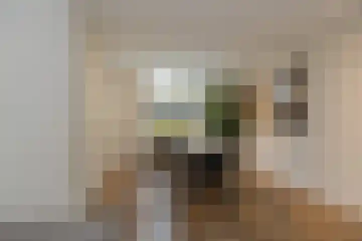 Tulpstraat 12 Uitgeest thumbnail 13