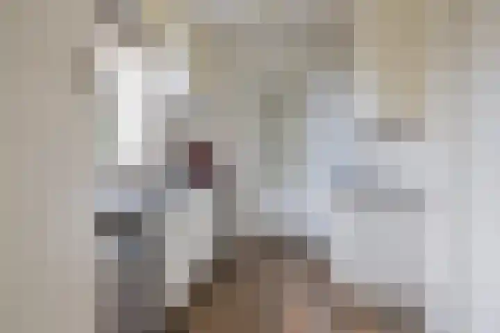 Tulpstraat 12 Uitgeest thumbnail 16