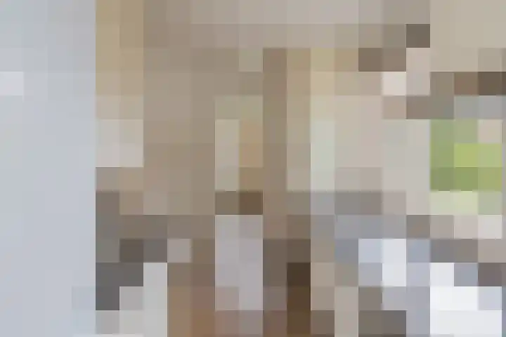 Tulpstraat 12 Uitgeest thumbnail 17