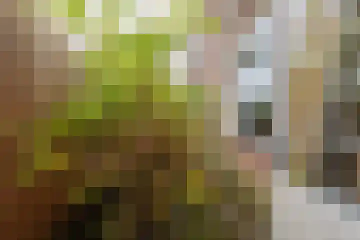Tulpstraat 12 Uitgeest thumbnail 22