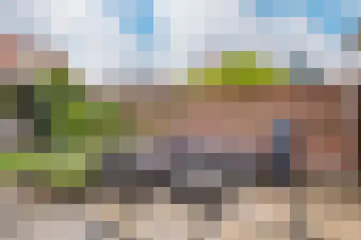Tulpstraat 12 Uitgeest thumbnail 39