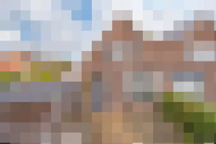 Tulpstraat 12 Uitgeest thumbnail 4