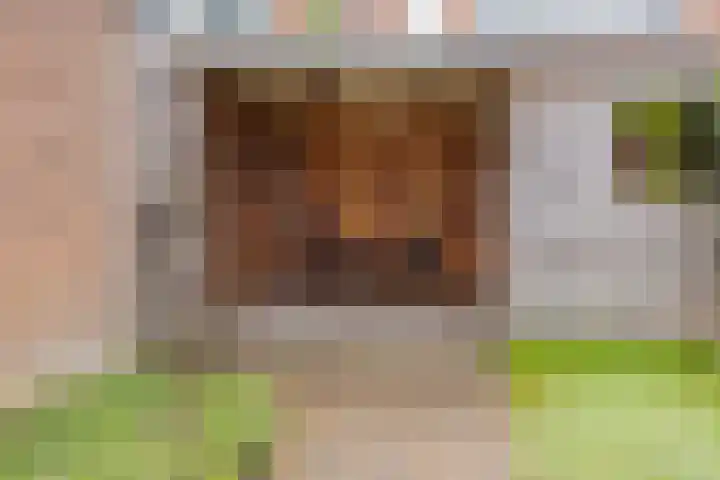 Tulpstraat 12 Uitgeest thumbnail 41