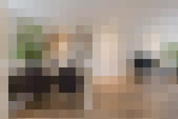 Tulpstraat 12 Uitgeest thumbnail 7