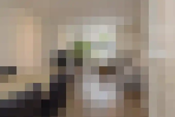 Tulpstraat 12 Uitgeest thumbnail 8