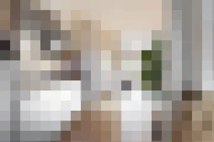 Tulpstraat 12 Woerden thumbnail 10