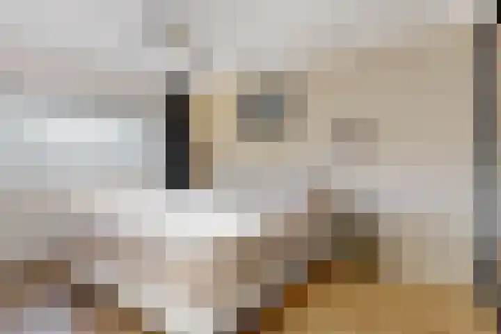 Tulpstraat 12 Woerden thumbnail 16