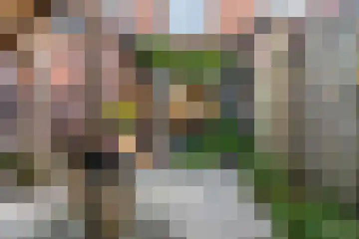 Tulpstraat 12 Woerden thumbnail 29