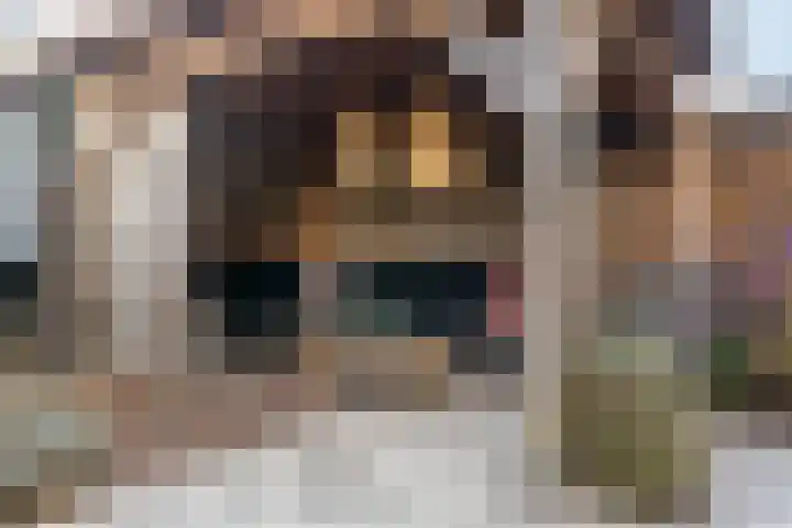 Tulpstraat 12 Woerden thumbnail 31