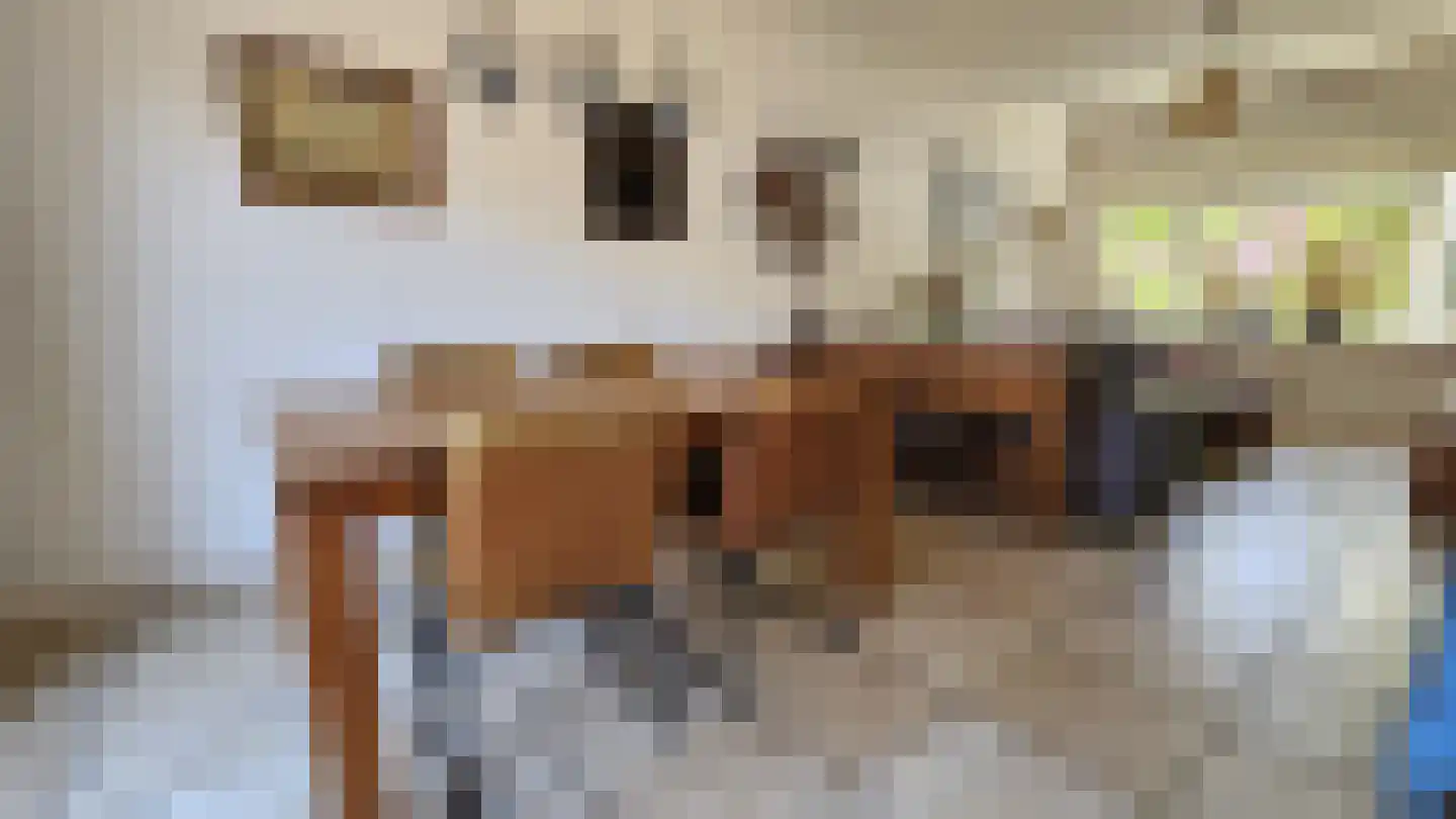 Tulpstraat 13 Koog aan de Zaan thumbnail 10