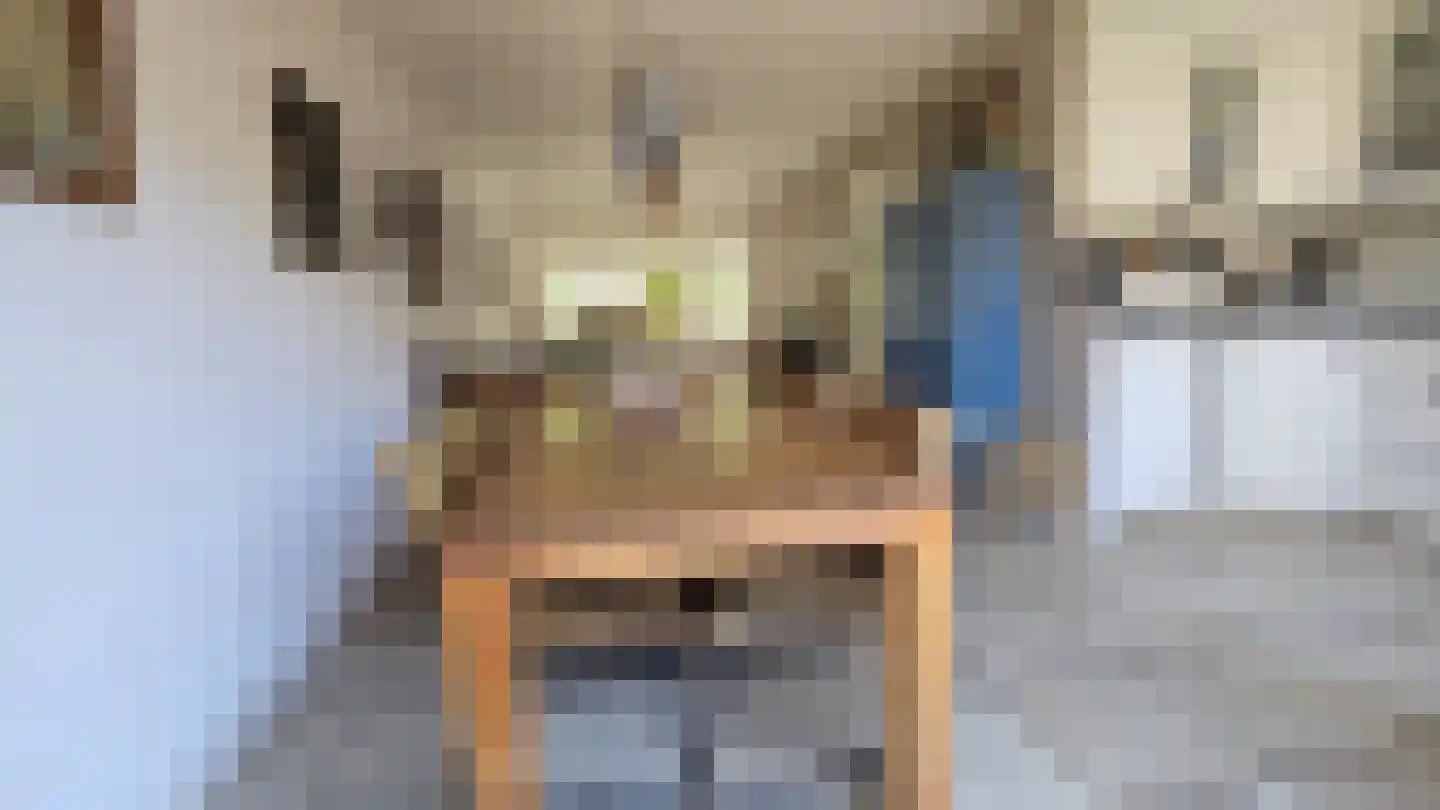 Tulpstraat 13 Koog aan de Zaan thumbnail 12