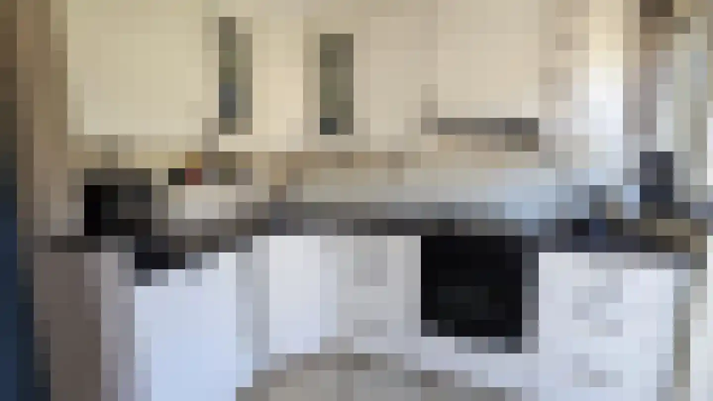 Tulpstraat 13 Koog aan de Zaan thumbnail 13