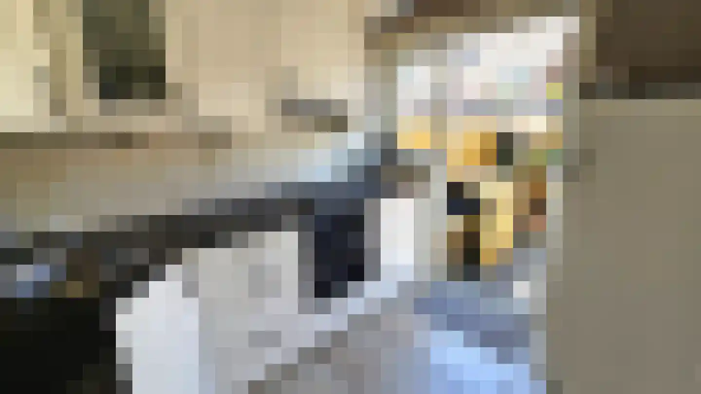 Tulpstraat 13 Koog aan de Zaan thumbnail 15