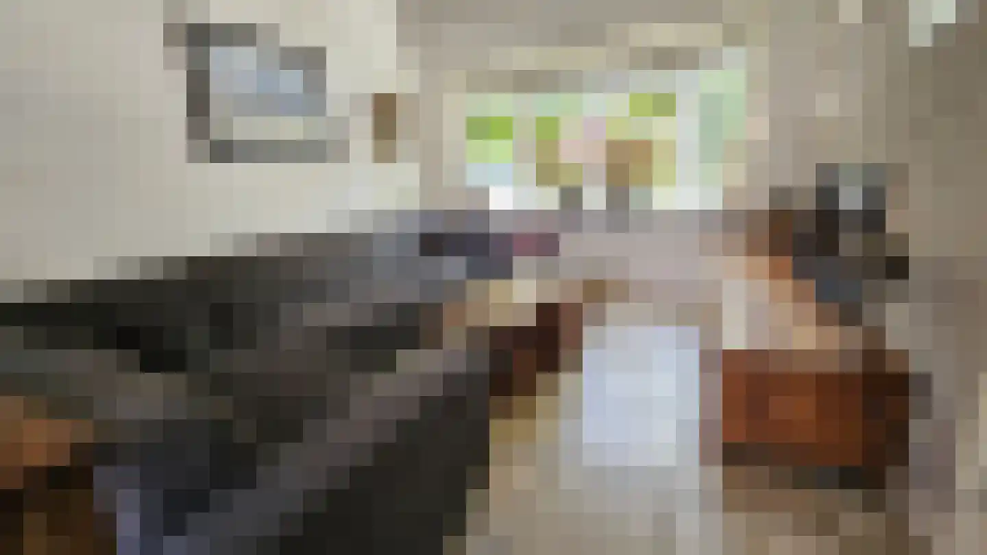 Tulpstraat 13 Koog aan de Zaan thumbnail 16
