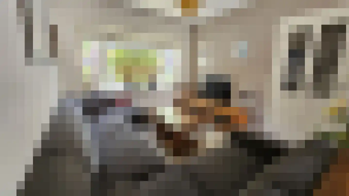 Tulpstraat 13 Koog aan de Zaan thumbnail 17