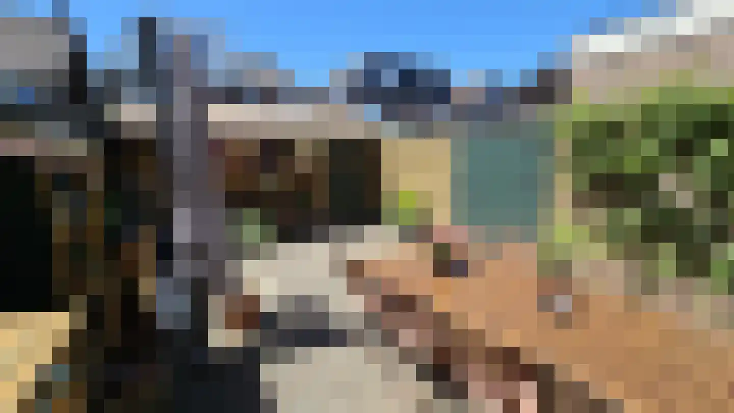 Tulpstraat 13 Koog aan de Zaan thumbnail 28
