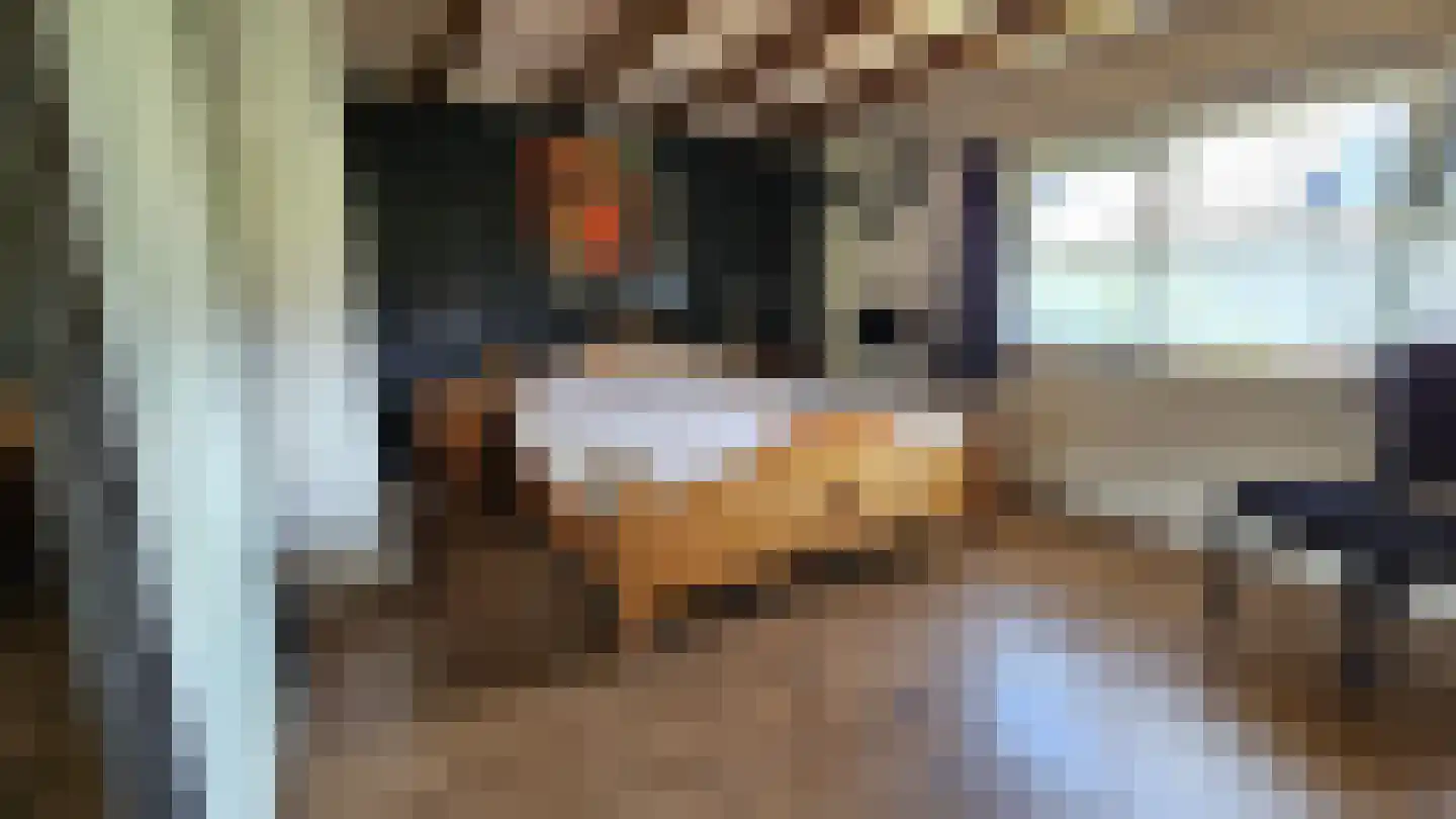 Tulpstraat 13 Koog aan de Zaan thumbnail 35