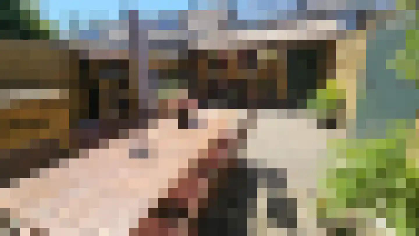 Tulpstraat 13 Koog aan de Zaan thumbnail 5