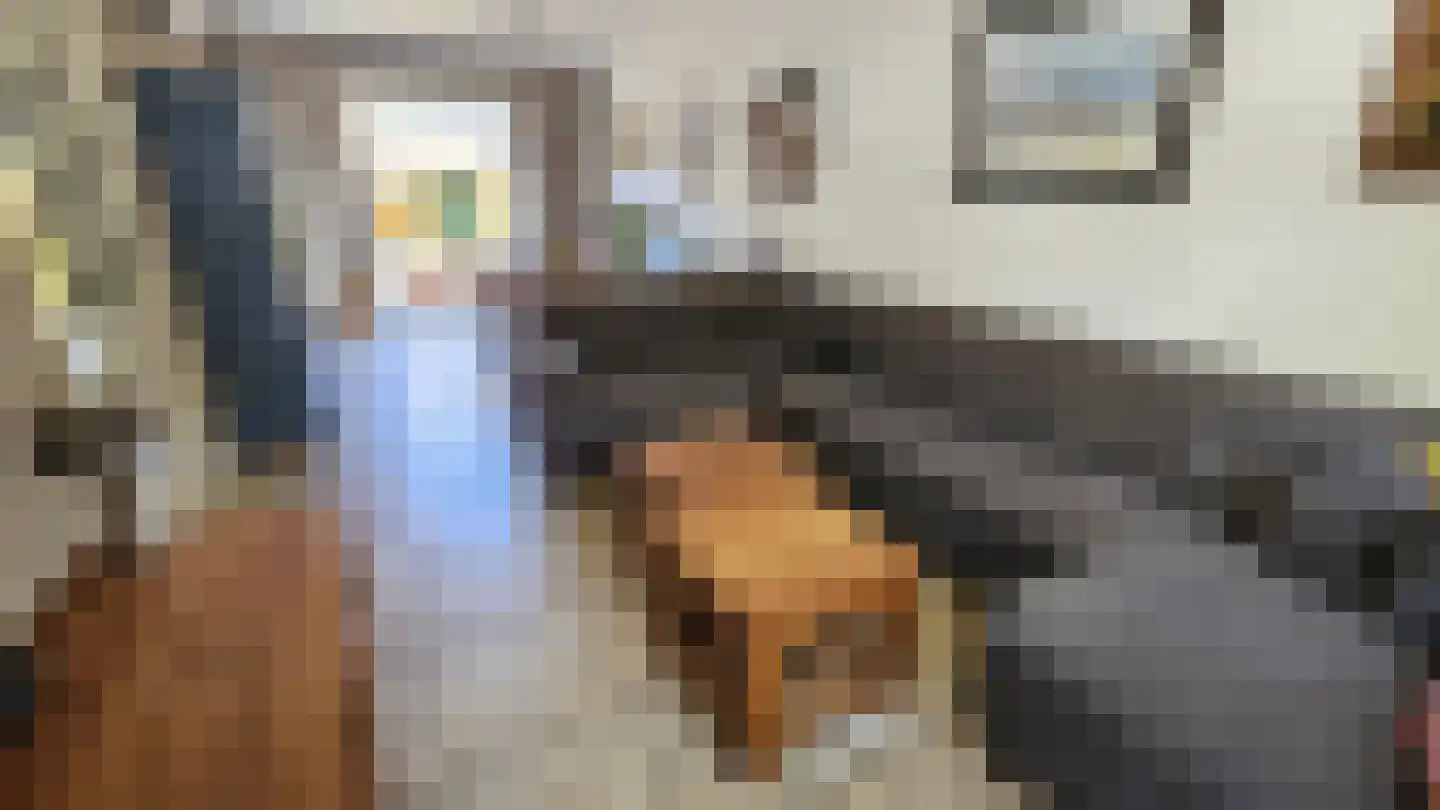 Tulpstraat 13 Koog aan de Zaan thumbnail 8